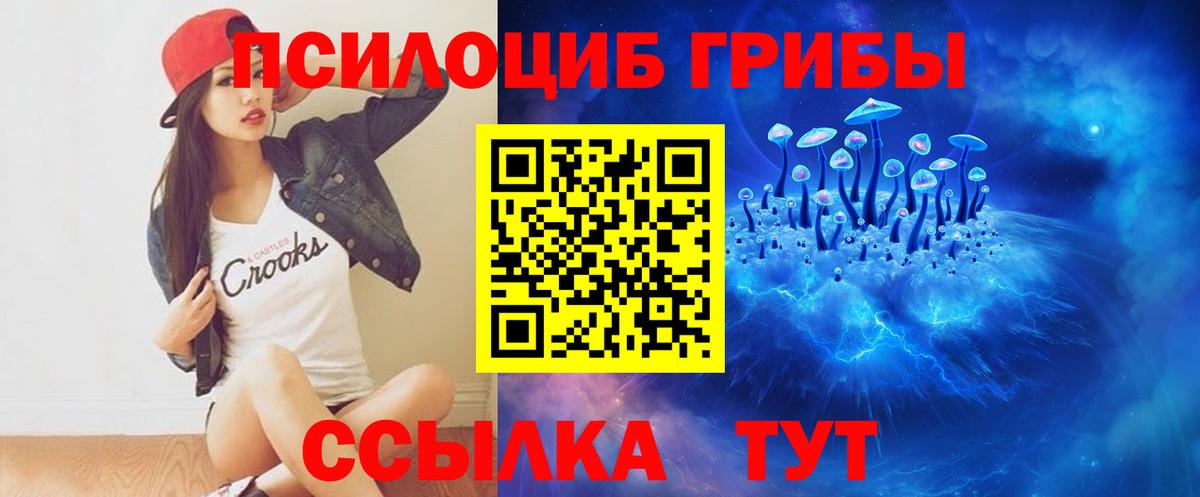 Галлюциногенные грибы Psilocybine cubensis  где найти   Усть-Джегута  Вход с VPN 